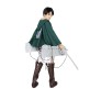 Attack On Titan Anime Inspired Green Cloak - Anime Cosplay Costume Cape Hoodie Dress Cosplay Costume Uniform Cape Green, XL