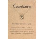 Horoscope Zodiac Sign Capricorn Pendant Necklace Constellation Jewellery Star Sign Cute Small Gold Plated Chain Horoscope Gifts Women & Girls