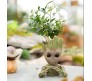 Groot Pen Stand Groot Flower Plant Pot Gift for Men Decorative Items Tree Flowerpot Planter Holder Action Figure Toy for Office or Home 16 Cms Desk Decor D2