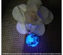 Glow In The Dark Moon Pendant Enchanted Moonstone Necklace Chain Moon Surface Gift For Women and Girls