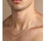 Combo Set of 2 Snake Chain 18 Inch Gold Silver Plated Flat Necklace for Men and Women