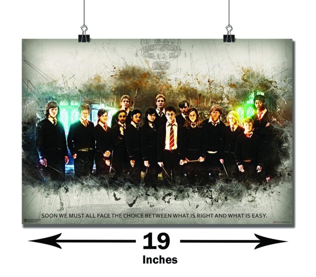 Harry Potter Ron & Hermione Poster Licensed Wall Decal