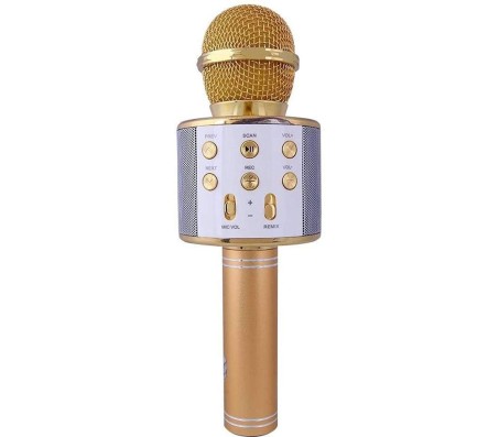 Wireless WS-858 Bluetooth Microphone Recording Condenser Handheld Microphone Stand With Bluetooth Speaker Audio Recording For Cellphone Karaoke Mike (Color May Vary)